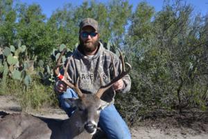Whitetail